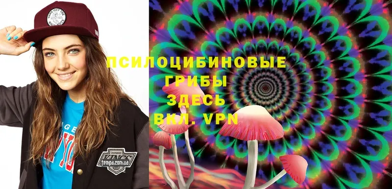 Галлюциногенные грибы Magic Shrooms  Ипатово 