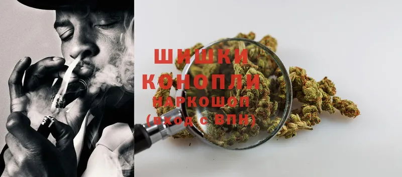 Каннабис White Widow  Ипатово 